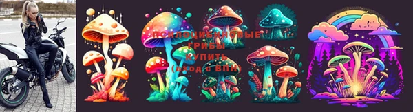крисы Навашино
