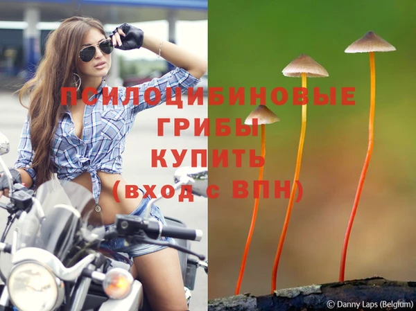 не бодяженный Надым
