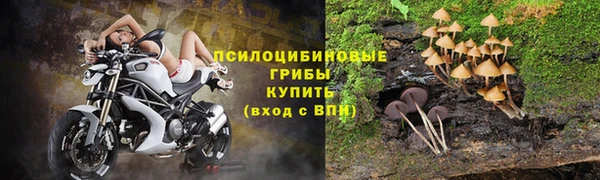 крисы Навашино