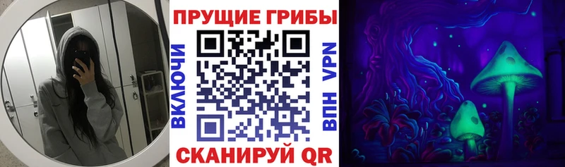 Купить где  Сольвычегодск  Псилоцибиновые грибы мухоморы 