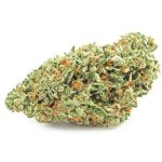Шишки OG Kush  (Гидропоника, бошки) VHQ в Сольвычегодске